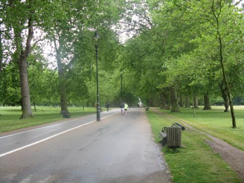 Parco cittadino