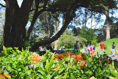 parco pubblico