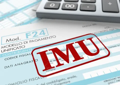 IMU 2025 IMU 2025